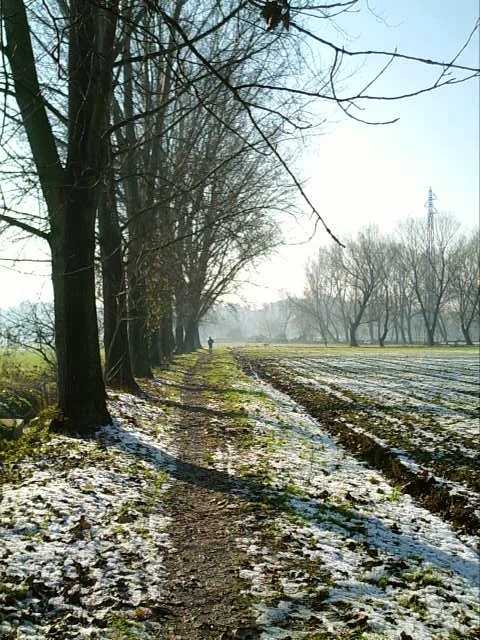 Contadini a Milano