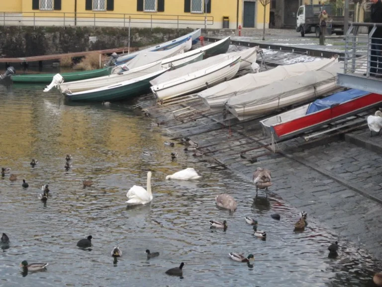 Colico (Lc): tutto il bello del lago