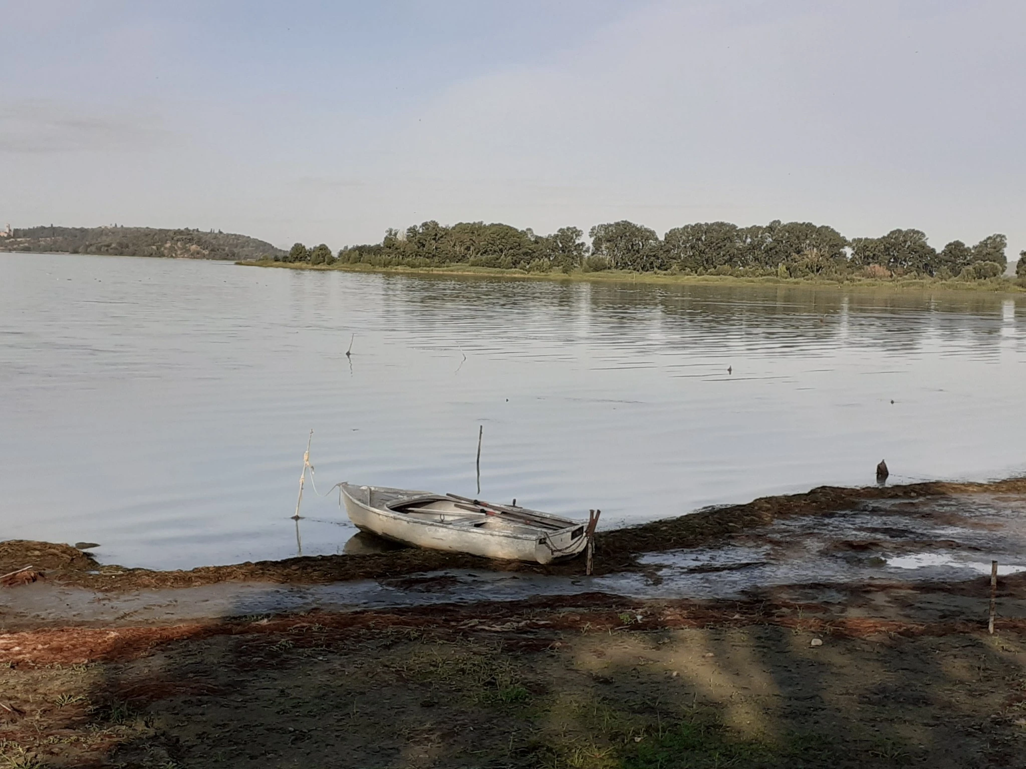 Tegamaccio del Trasimeno